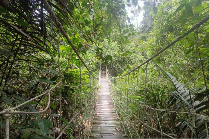 menu popsicleicecream, makanan popsicleicecream, kuliner popsicleicecream, keunikan popsicleicecream, rekomendasi popsicleicecream